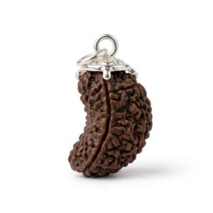 1 mukhi nepali rudraksha (single faced) certified premium