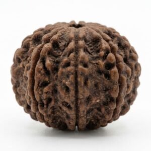 9 mukhi rudraksha (nine faced) embodiment of navadurga (strength and courage)