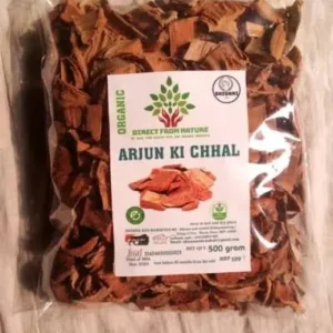 arjun