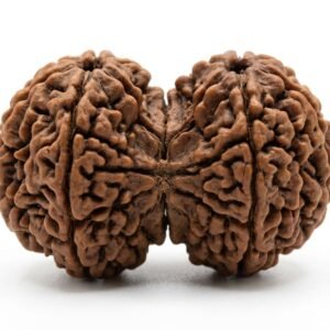 gauri shankar rudraksha (for family happiness and peace)