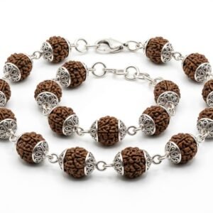 premium siddha mala (combination of 1 to 14 faced rudrakshas)